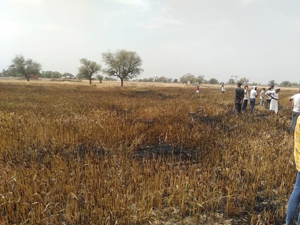 बामनवास में वि़द्युत तार टूटने से हादसा, गेहूं के खेत में लगी आग 2 IMG 20210405 WA0007