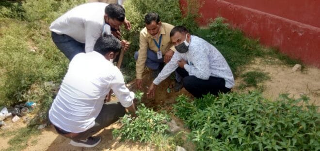 Kotputli ने ऐसे मनाया विश्व पर्यावरण दिवस... तस्वीरों के साथ देखें आप की खबर 2 IMG 20210605 WA0062
