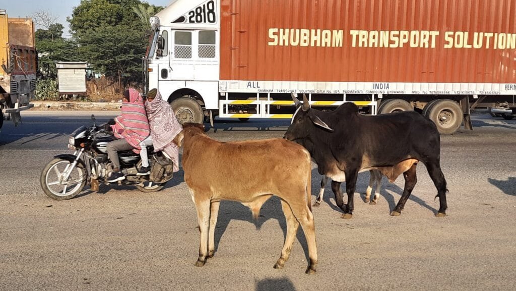 कांग्रेस की 'महंगाई हटाओ रैली' को लेकर कोटपुतली प्रशासन की चूक, एडीएम के आदेश हवा 1 20211212 0838221498168683757350813
