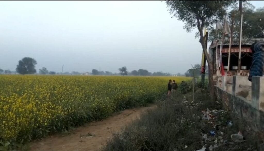 कोटपूतली : सरसों के खेत में मिला युवक का शव, पुलिस ने बुलाई एफएसएल टीम 1 screenshot 20220118 183030 videoplayer2394476482202019324.
