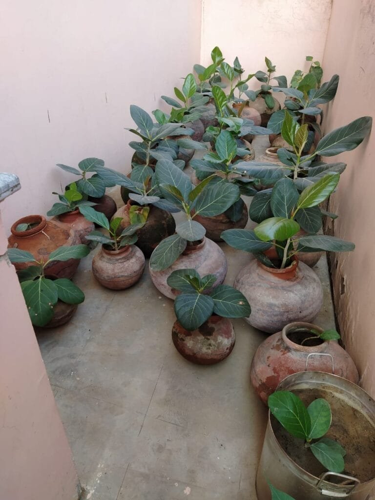 पर्यावरण संरक्षण के लिए संघर्ष कर रहे भामाशाह व सामाजिक कार्यकर्ता डॉ. आरपी यादव 1 img 20220530 wa00785915672996485003326