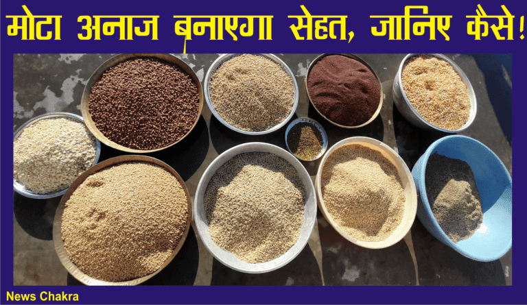 हेल्थ केयर : मोटा अनाज बनाएगा सेहत