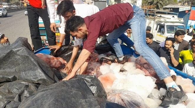 BREAKING: कोटपूतली से गुजर रही थी मांस से भरी पिकअप, गोरक्षकों ने रुकवाया