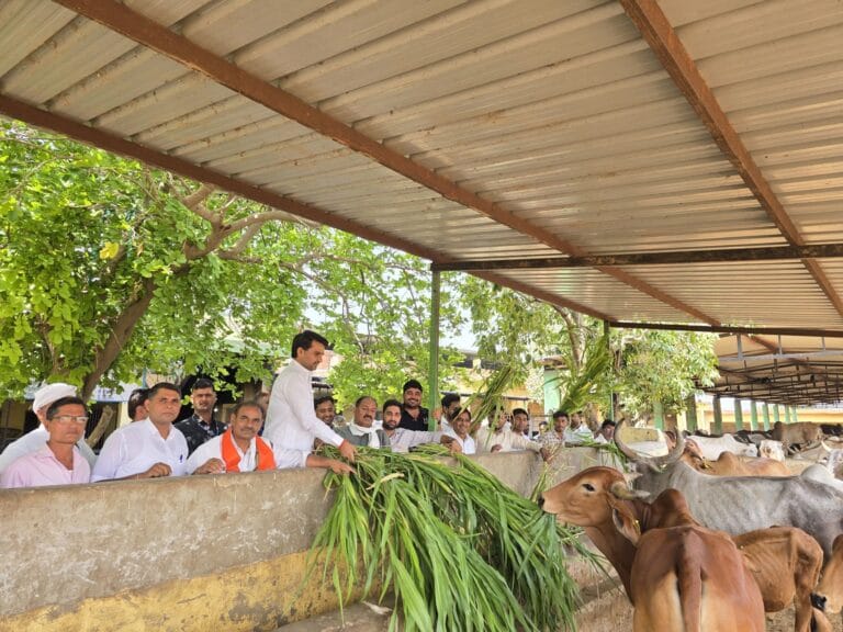 भंवर जितेंद्र सिंह के जन्मदिन पर गौशाला में विधायक ललित यादव की टीम ने किया चारे और नकद राशि का दान 2 img-20250612-wa00991868831291781331357.jpg