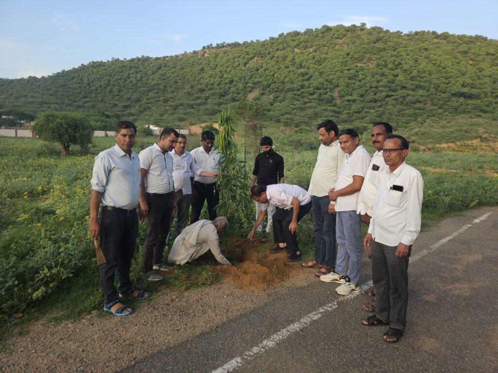 नीमराना उपखंड कार्यालय परिसर में किया पौधा रोपण। पर्यावरण संरक्षण का दिया संदेश 2 img 20250707 wa02362781378378503301481