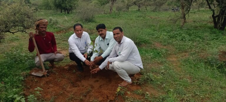 एडवोकेट रविंद्र सामरिया ने नीमराना में 51 पौधे लगाकर मनाया पर्यावरणीय जन्मदिन 2 img-20250710-wa00692972102839226889276.jpg