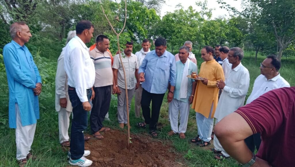 रोड़वाल में शहीद भगत सिंह आज़ाद स्मृति वन में अलवर विधायक ने लगाया पौधा, अब तक 5 हजार पौधे रोपे जा चुके 2 img 20250711 wa01665296506878944766507