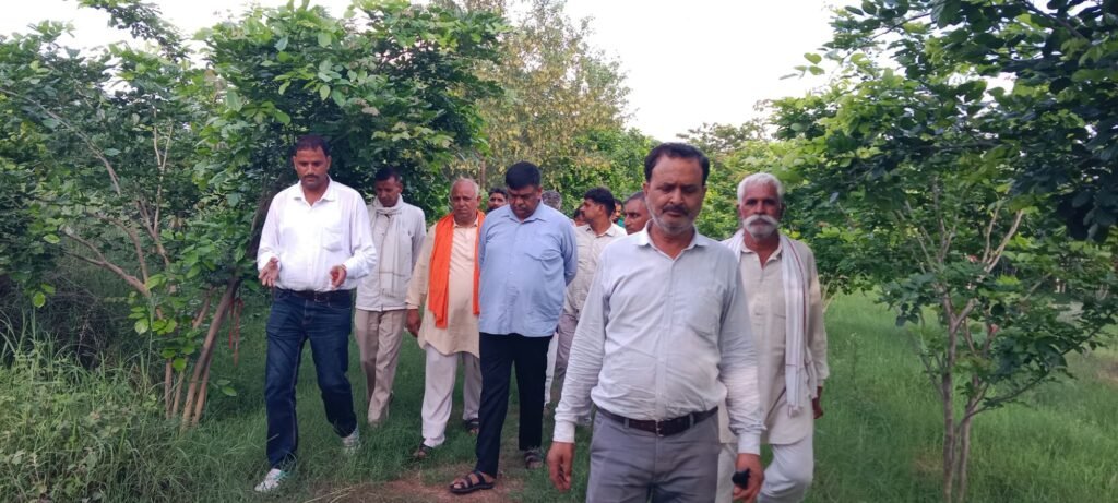 रोड़वाल में शहीद भगत सिंह आज़ाद स्मृति वन में अलवर विधायक ने लगाया पौधा, अब तक 5 हजार पौधे रोपे जा चुके 3 img 20250711 wa01685411069765980463170