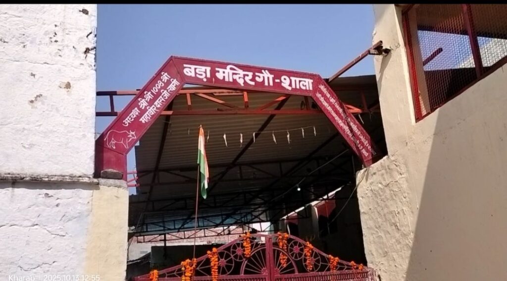 दीपावली पर गौमाता के गोबर से जगमगाएंगे घर — खड़ब गौशाला में 10 वर्षों से बन रहे पर्यावरण–हितैषी दीपक 4 img 20251017 1234127728756054034044725