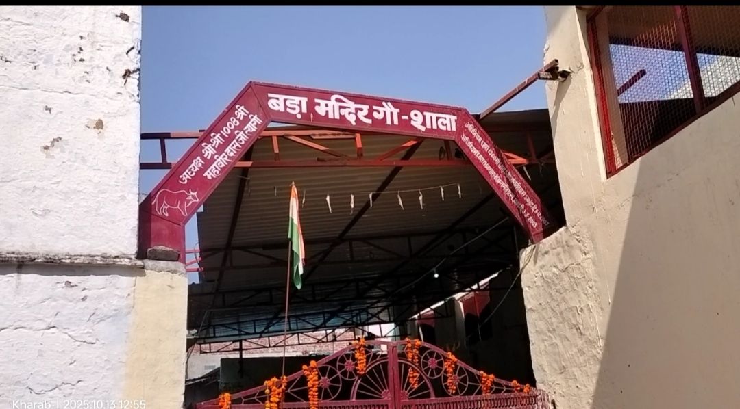 दीपावली पर गौमाता के गोबर से जगमगाएंगे घर — खड़ब गौशाला में 10 वर्षों से बन रहे पर्यावरण–हितैषी दीपक 1 img_20251017_1234127728756054034044725.jpg