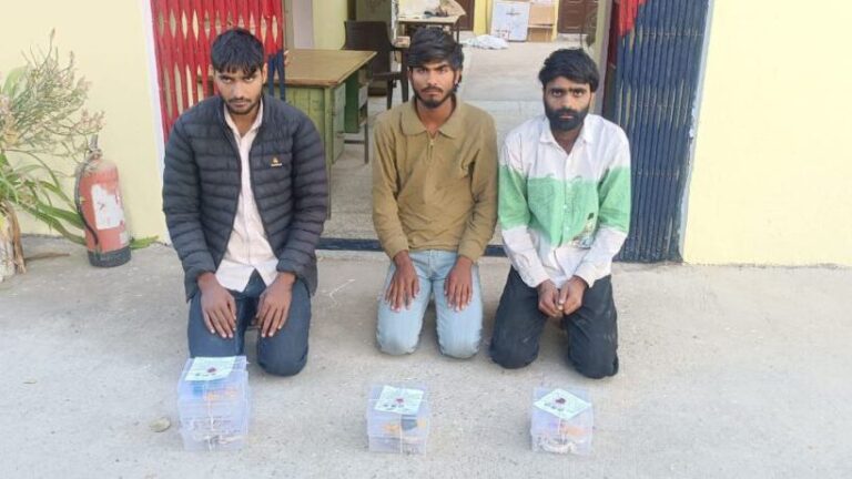 हरसौरा थाना पुलिस ने किया चोरी का खुलासा, तीन गिरफ्तार 6 image_editor_output_image1265478824-17659808892802043159783067590939.jpg