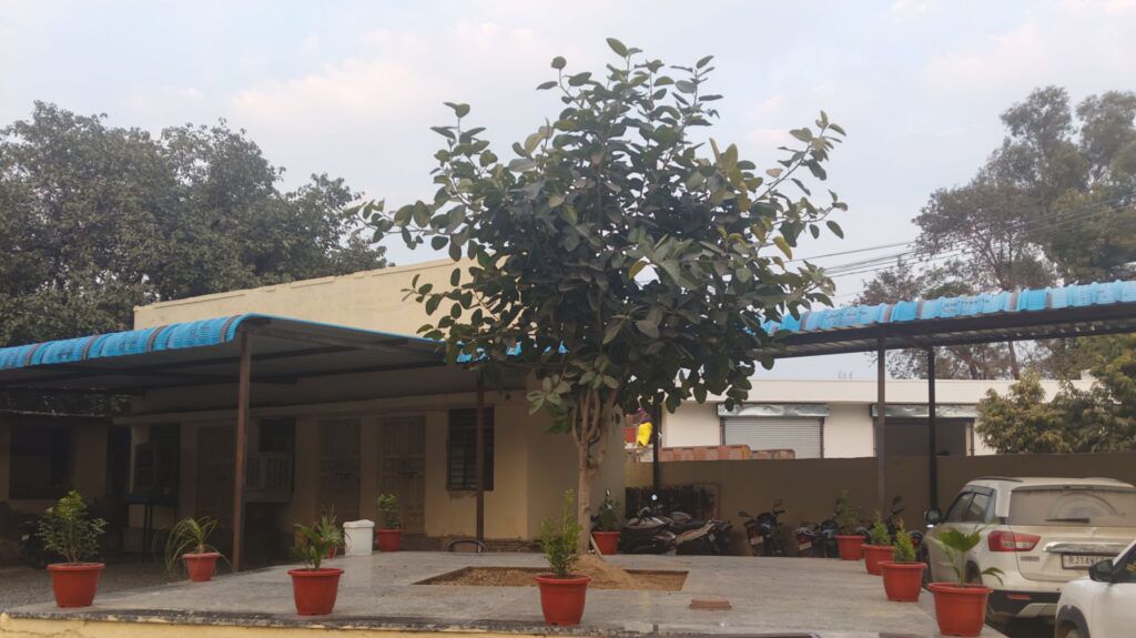 कोटपूतली-बहरोड़ जिले का प्रागपुरा थाना सीआई भजनाराम की पहल से कायाकल्प