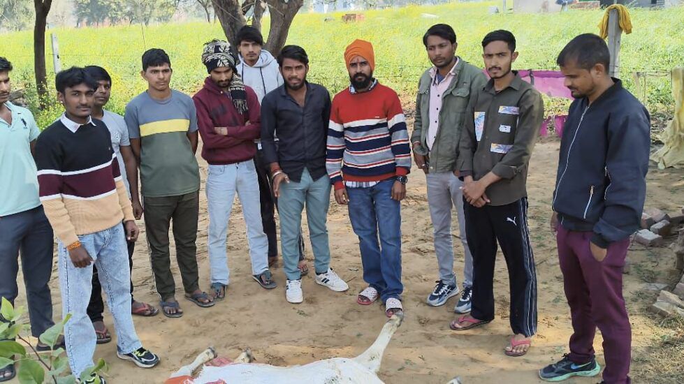 पावटा शहरी क्षेत्र में 150 फीट गहरे सूखे कुएं में गिरे गौवंश की मौत, प्रशासन से खुले कुओं को बंद कराने की मांग