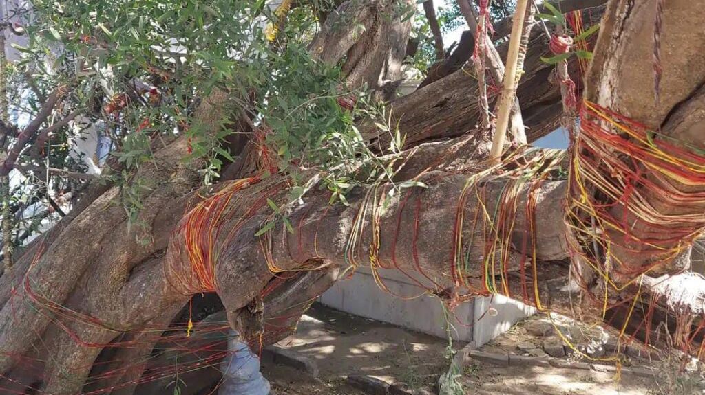 पावटा के खेलना में संत शिरोमणि टीलाजी महाराज का विशाल मेला 4 मार्च को