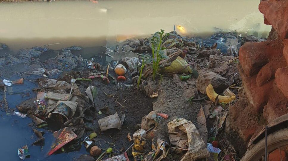 पावटा - प्रागपुरा शहरी क्षेत्र में सफाई व्यवस्था ठप, मुख्य बाजार सहित वार्डों में गंदगी के ढेर