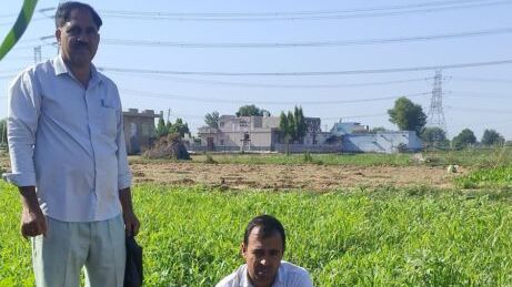 पावटा क्षेत्र में घायल नीलगायों को मिला जीवनदान