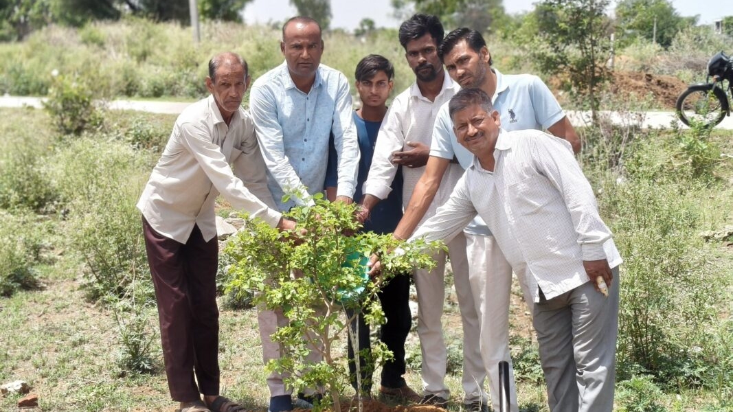 विश्व पर्यावरण दिवस पर जवानपुरा में हरित पहल