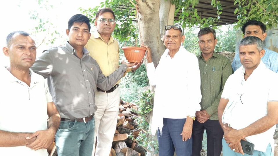 पावटा में पक्षियों की सेवा को आगे आया समाज, एक कदम गांव की ओर अभियान के तहत लगाये परिंडे पावटा में पक्षियों की सेवा को आगे आया समाज, एक कदम गांव की ओर अभियान के तहत लगाये परिंडे