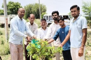 विश्व पर्यावरण दिवस पर जवानपुरा में हरित पहल, युवाओं ने संभाली जिम्मेदारी